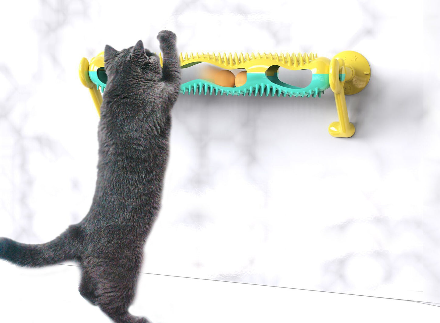 Orbit ball cat toy