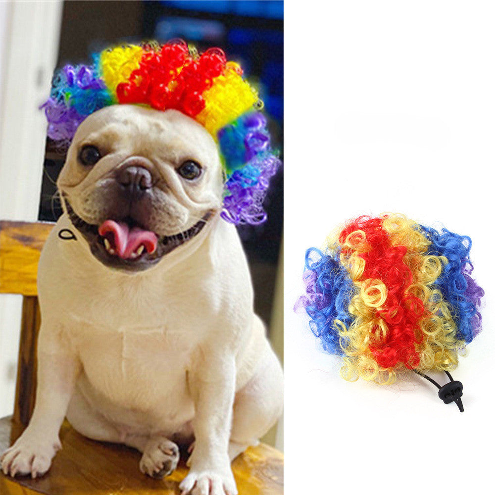 Halloween Pet Costume