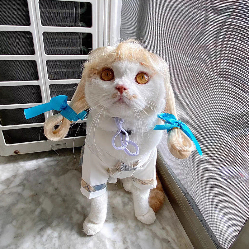 Pet Hair Accessory