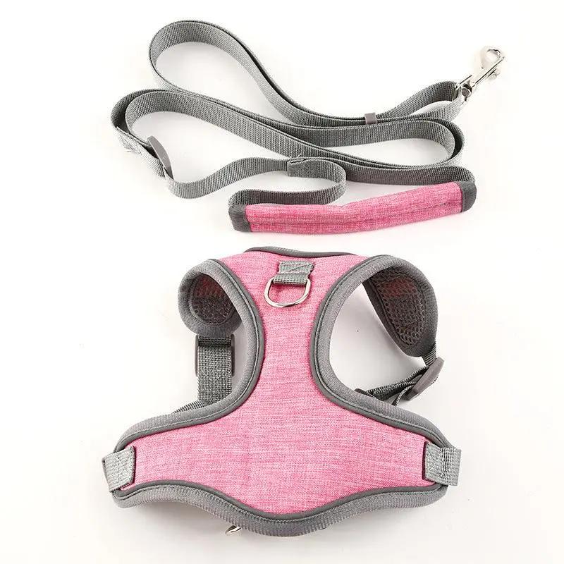 Vibrant Vest-Style Pet Leash For Cats And Dogs