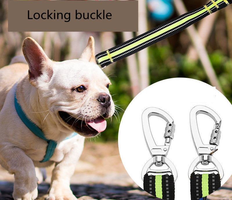 Big Dog Leash