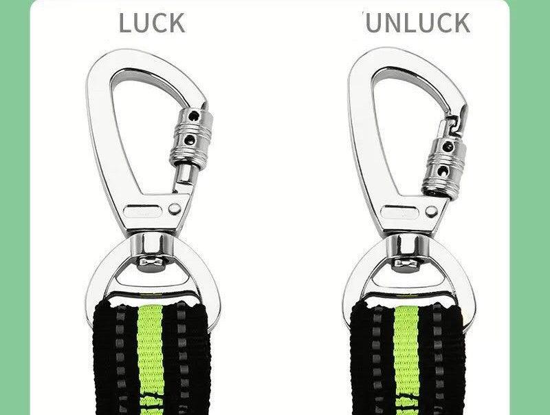 Big Dog Leash