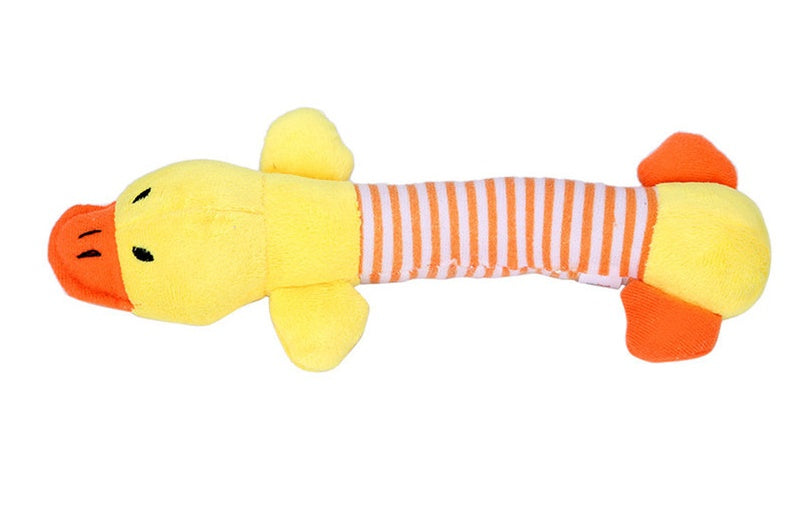 Pet Squeak Toy