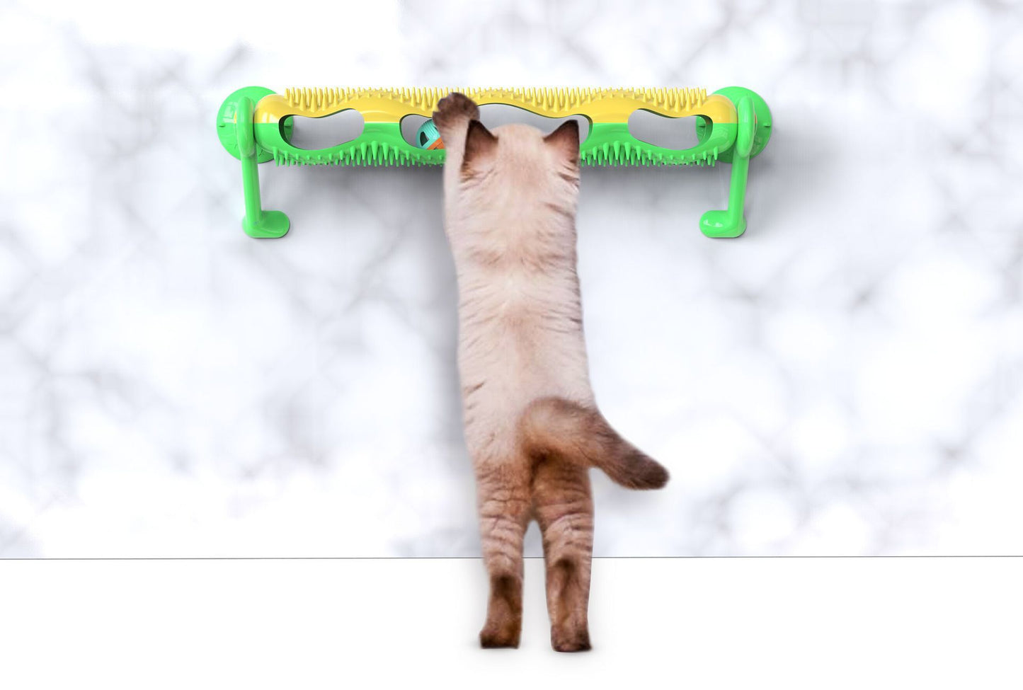 Orbit ball cat toy