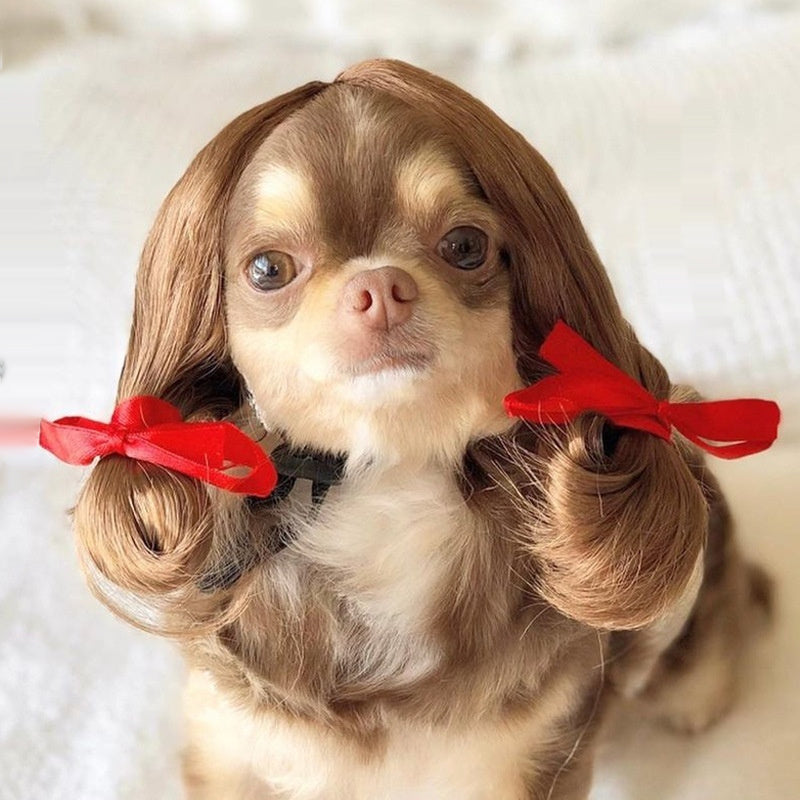 Pet Hair Accessory
