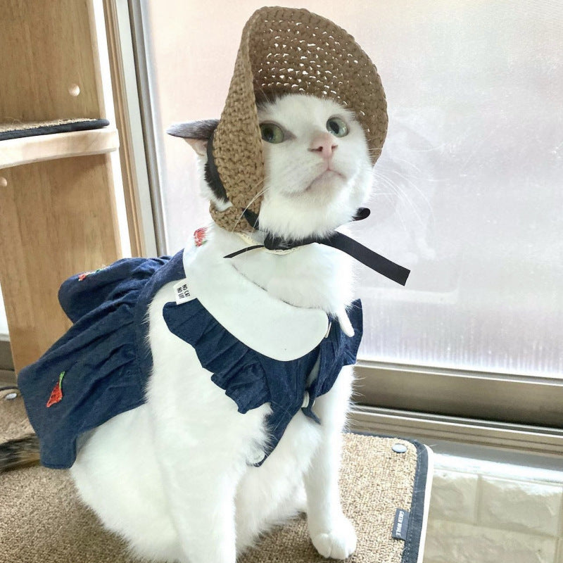 Lace Pet Hat