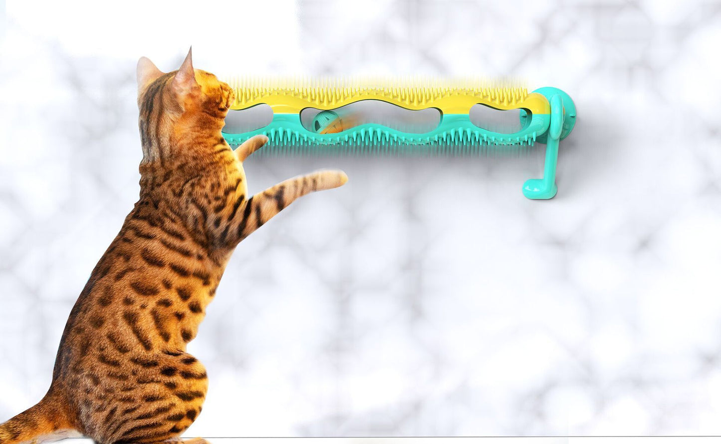 Orbit ball cat toy