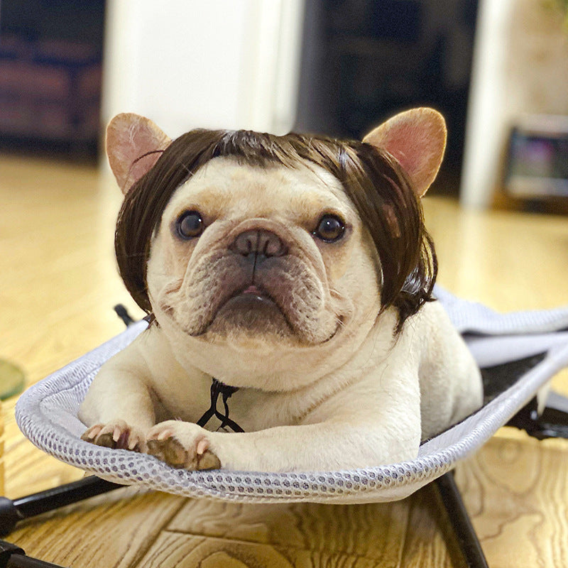 Pet Hair Accessory