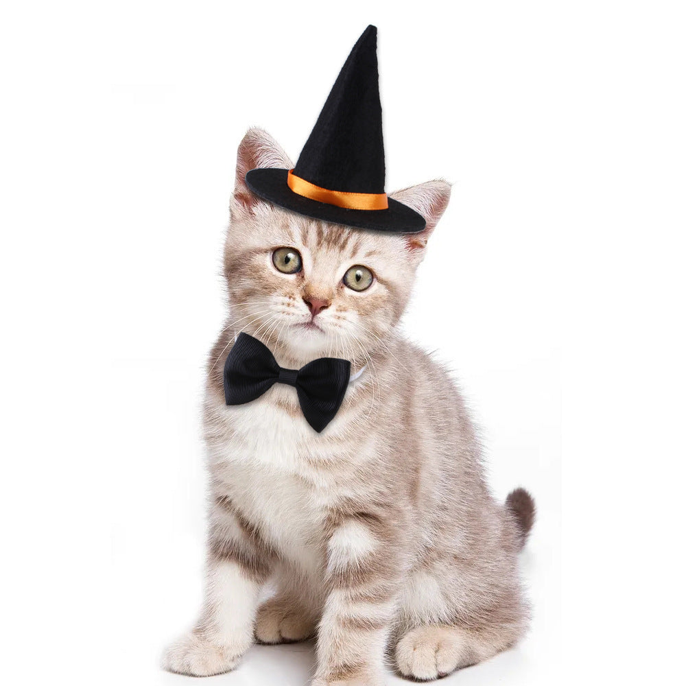 Halloween Pet Outfit