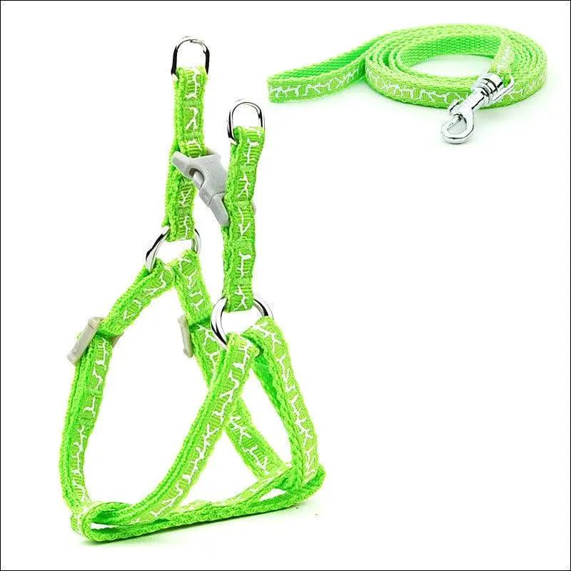 Pet Adventure Chest Strap Leash - Premium Quality Dog And Cat Walking Harness
