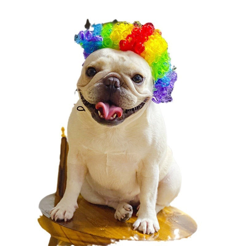 Pet Hair Accessory