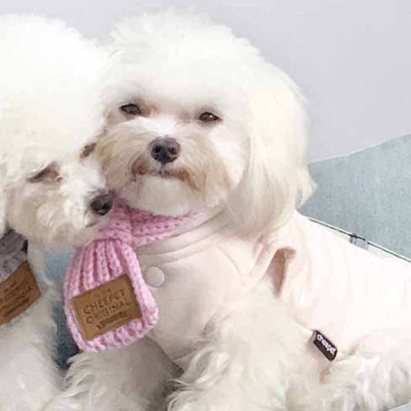 Pet Snow Collar