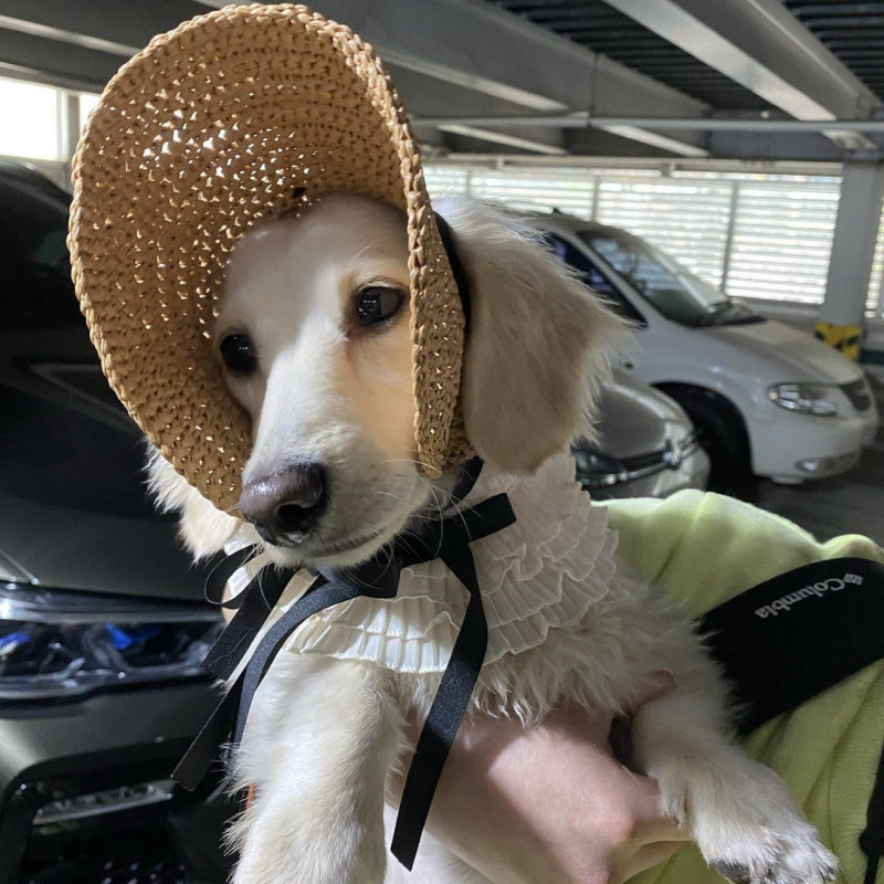Lace Pet Hat