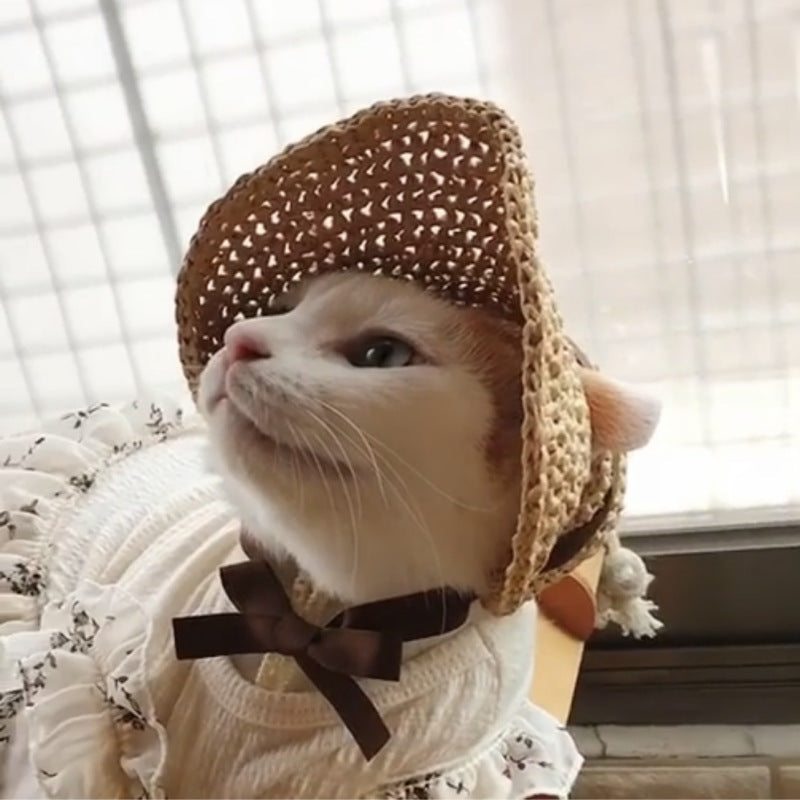 Lace Pet Hat