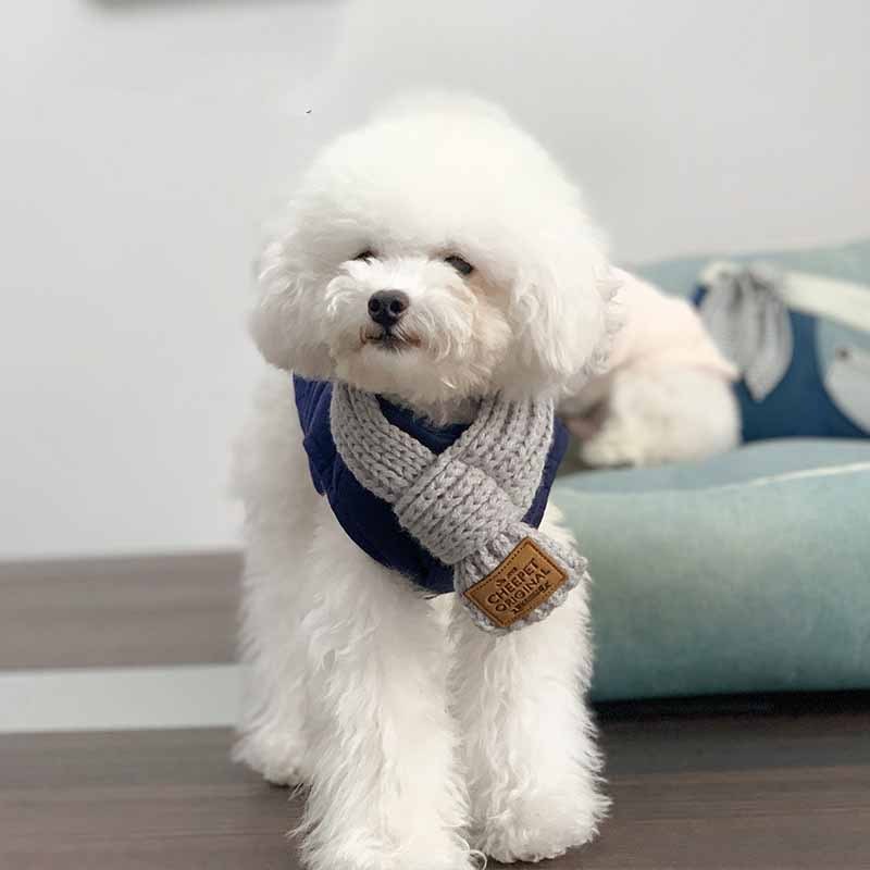 Pet Snow Collar