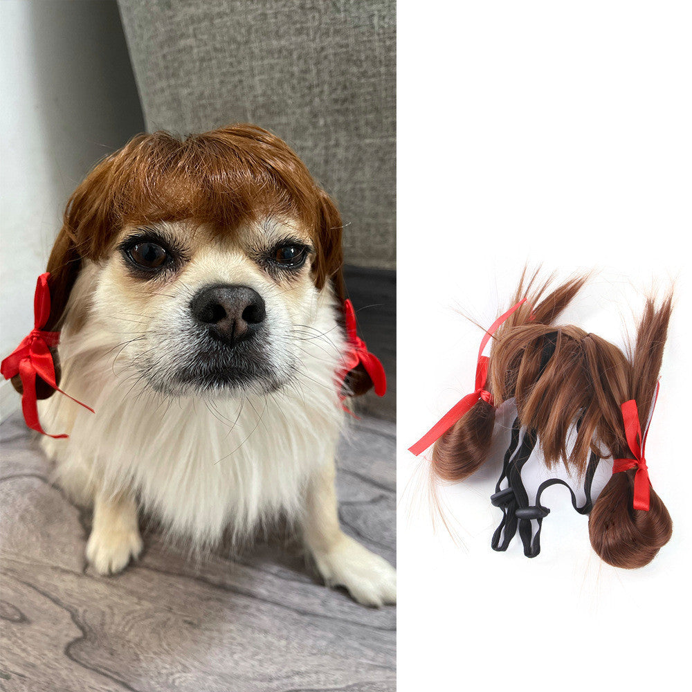 Halloween Pet Costume