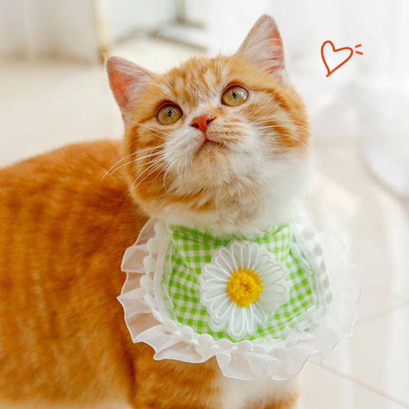 Stylish Pet Towel