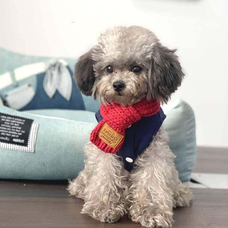 Pet Snow Collar