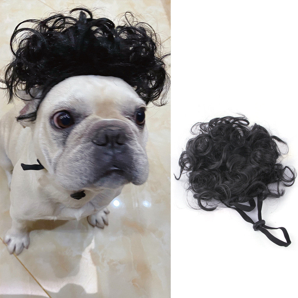 Halloween Pet Costume