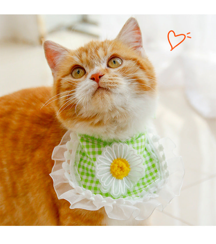 Stylish Pet Towel