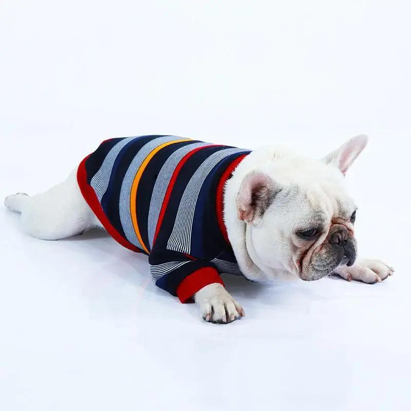 Cozypaws Winter Sweater Coat For Dogs And Cats