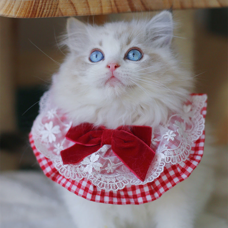 Cute Pet Jewelry