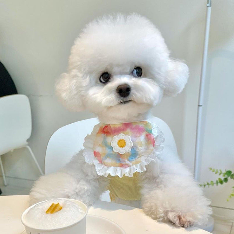 Lace Dog Towel