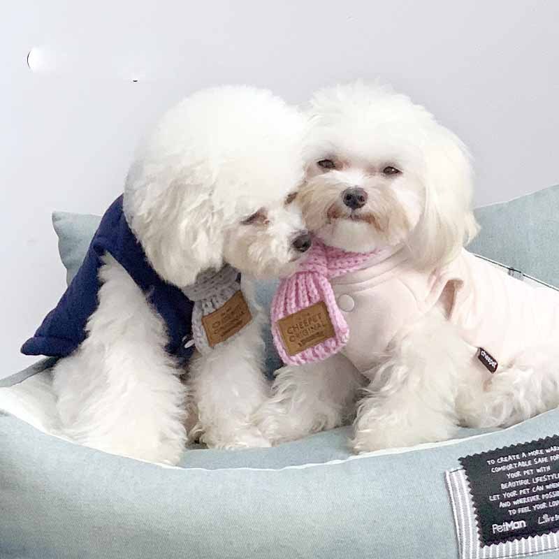 Pet Snow Collar