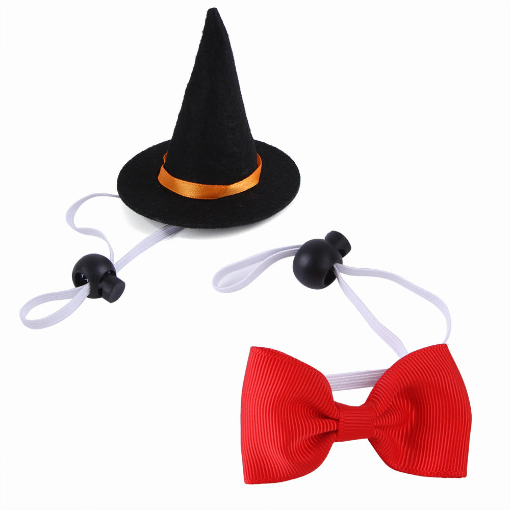 Halloween Pet Outfit