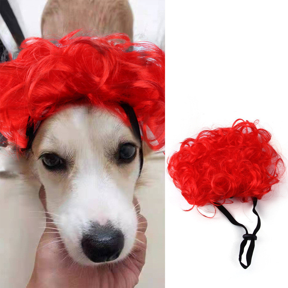 Halloween Pet Costume