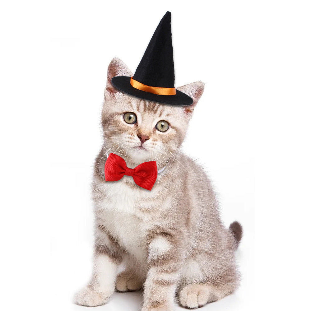 Halloween Pet Outfit