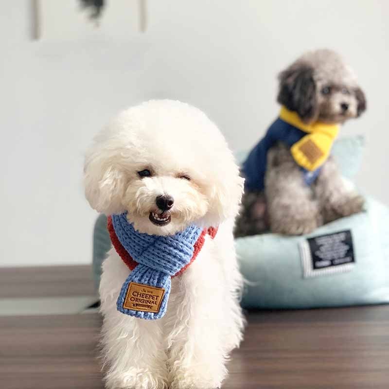 Pet Snow Collar