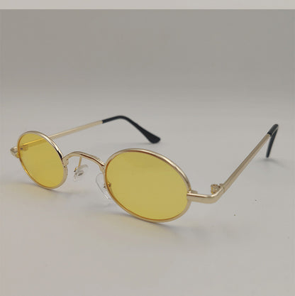Pet Goggles Toy