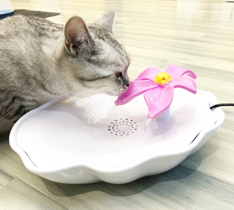 Cat Water Dispenser