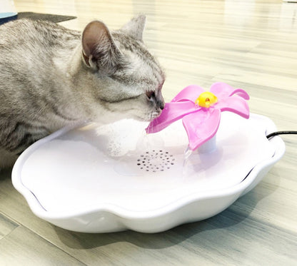 Cat Water Dispenser