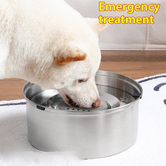Pet Drinking Bowl