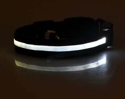 Luminous Glow-In-The-Dark Led Pet Collar: The Ultimate Night Safety Accessory For Dogs And Cats