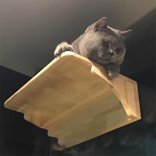 Wooden Cat Litter