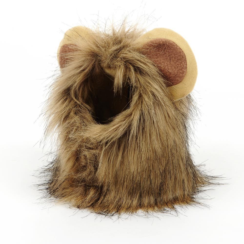 Cute Cat Headgear