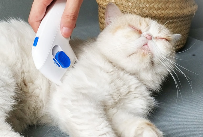 Cat Lice Remover
