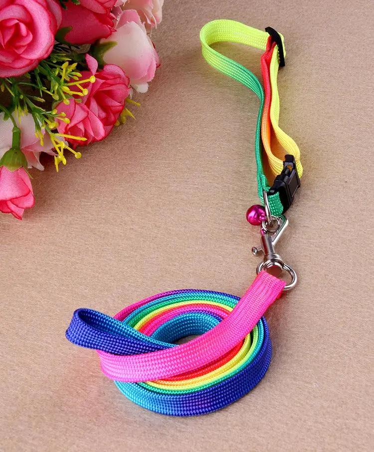 Rainbow Round Cat Leash And Dog Chain