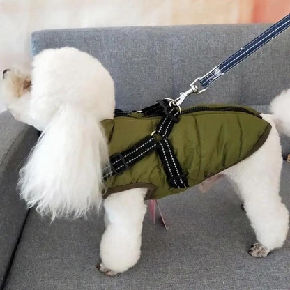 Winter Adventure Dog Coat: Waterproof, Harness-Compatible, And Stylish Pet Clothing