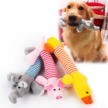 Pet Squeak Toy