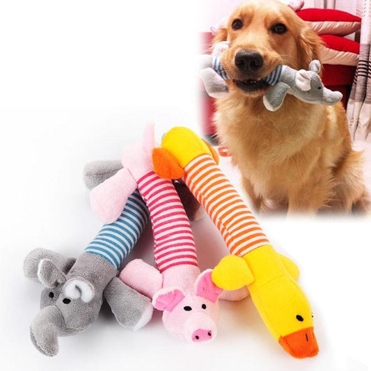 Pet Squeak Toy