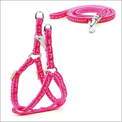 Pet Adventure Chest Strap Leash - Premium Quality Dog And Cat Walking Harness