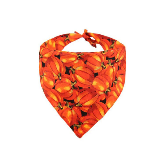 Triangle Pet Scarf