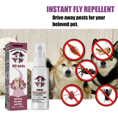 Insect Repellent Spray
