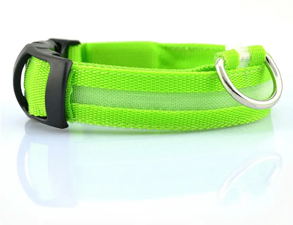 Luminous Glow-In-The-Dark Led Pet Collar: The Ultimate Night Safety Accessory For Dogs And Cats