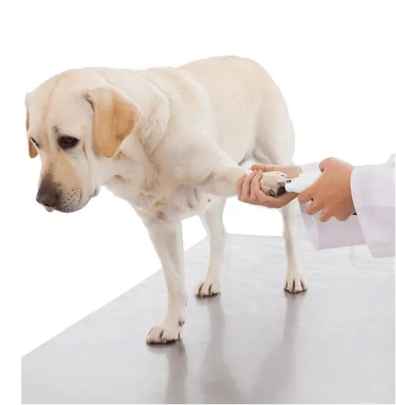Pawperfect Pet Nail Care System: The Stress-Free Solution For Happy Paws