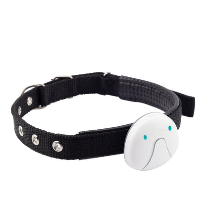 Pet Safety Tracker